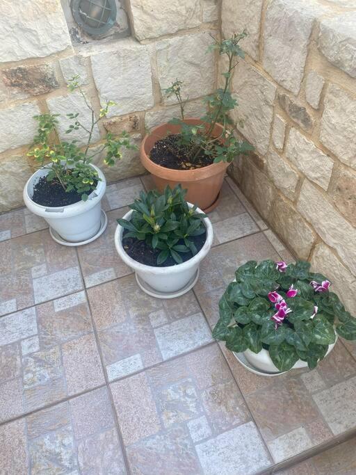 New Lovely Apartment In Heraklion Exteriör bild
